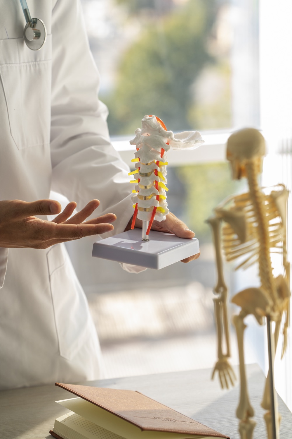 Medico ortopedico con modello anatomico della colonna cervicale